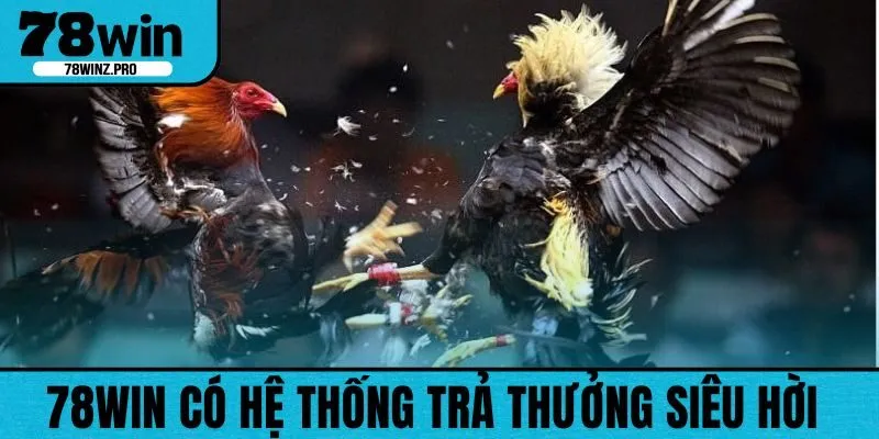 Thưởng cao giúp 78WIN có lượng lớn người chơi mỗi ngày